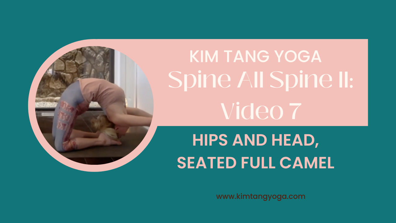 Spine All Spine II: Video 7: Hips and Head, Seated Full Camel