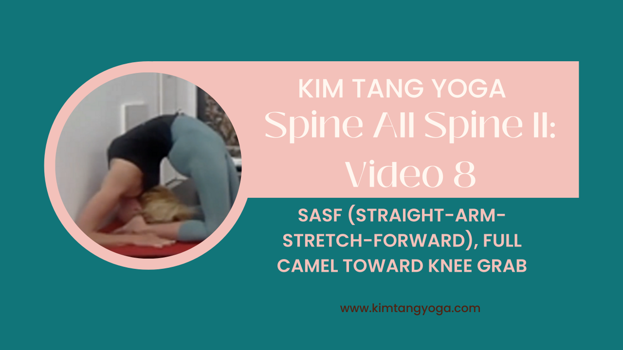 Spine All Spine II: Video 8 : SASF (Straight-Arm-Stretch-Forward), Ful –  Kim Tang Yoga