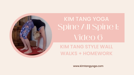 Spine All Spine I: Video 6: Kim Tang Style Wall Walks + Homework Video
