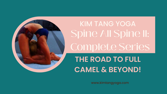 Spine All Spine II: The Road to Full Camel and Beyond!