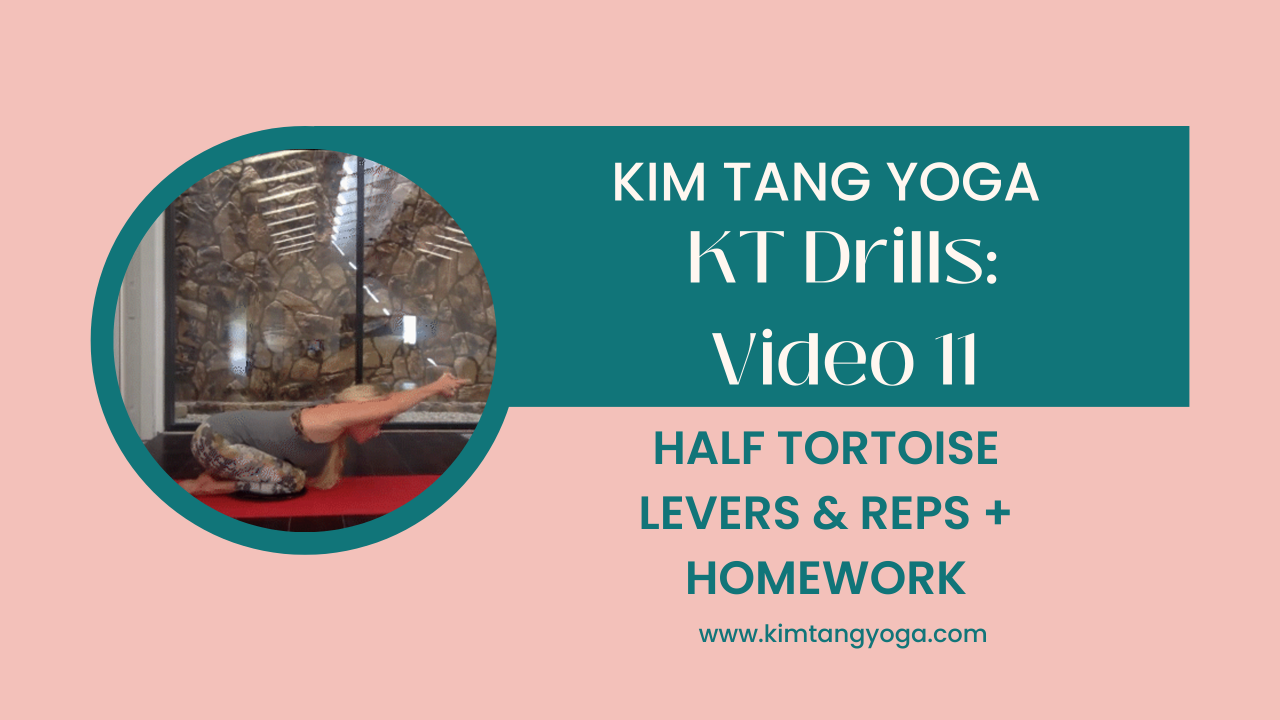 KT Drills 11: Half Tortoise Levers and Reps + Homework Video