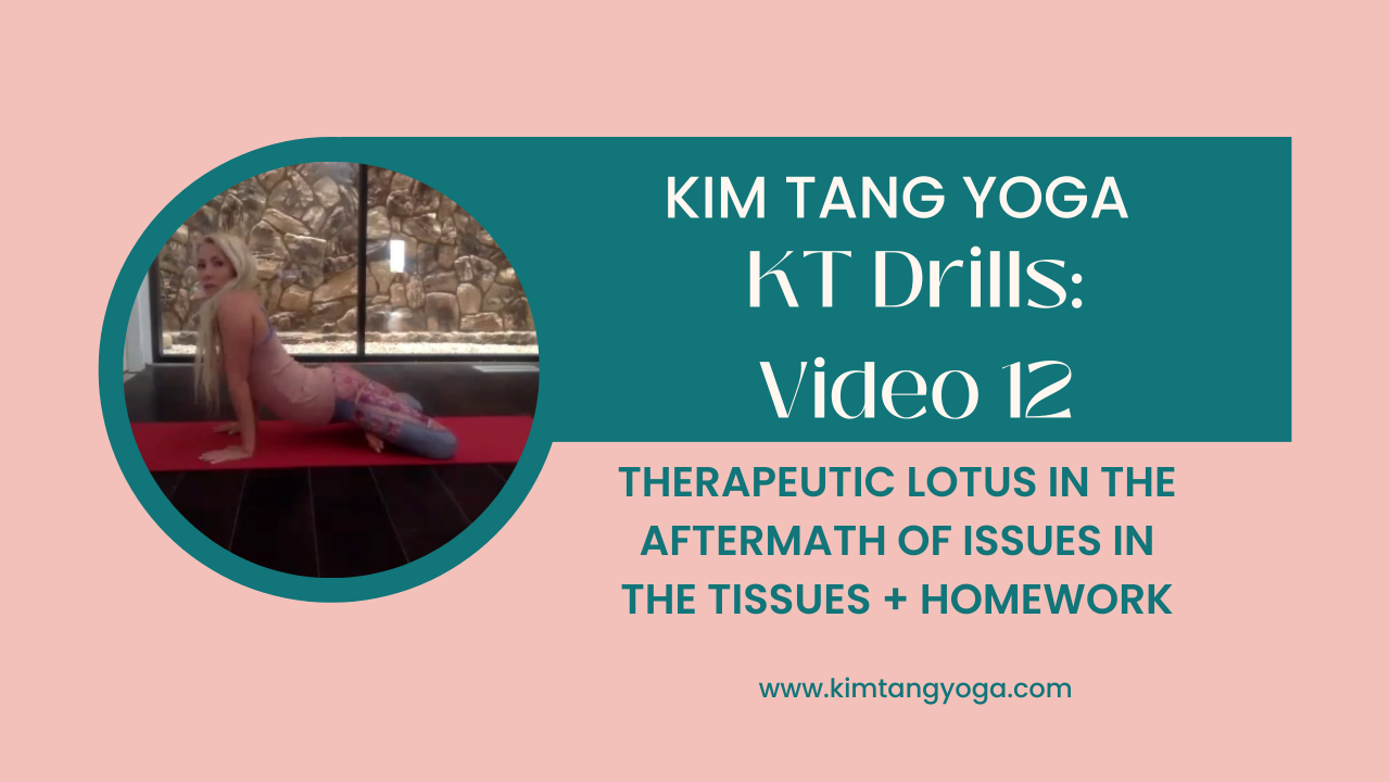 KT Drills 12: Therapeutic Lotus in the Aftermath of Issues in the Tissues + Homework Video