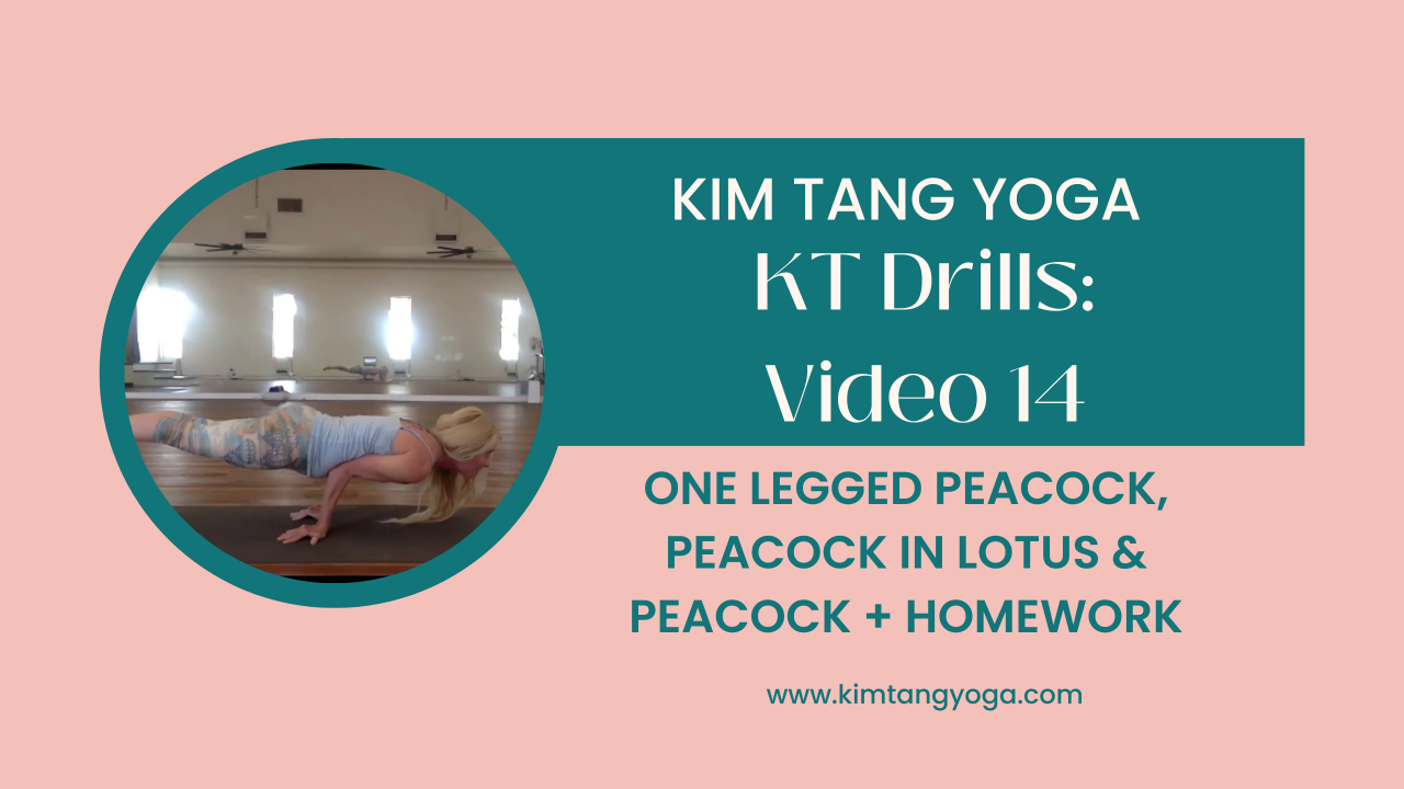 KT Drills 14: One Leg Peacock, Peacock in Lotus, and Peacock + Homework Video