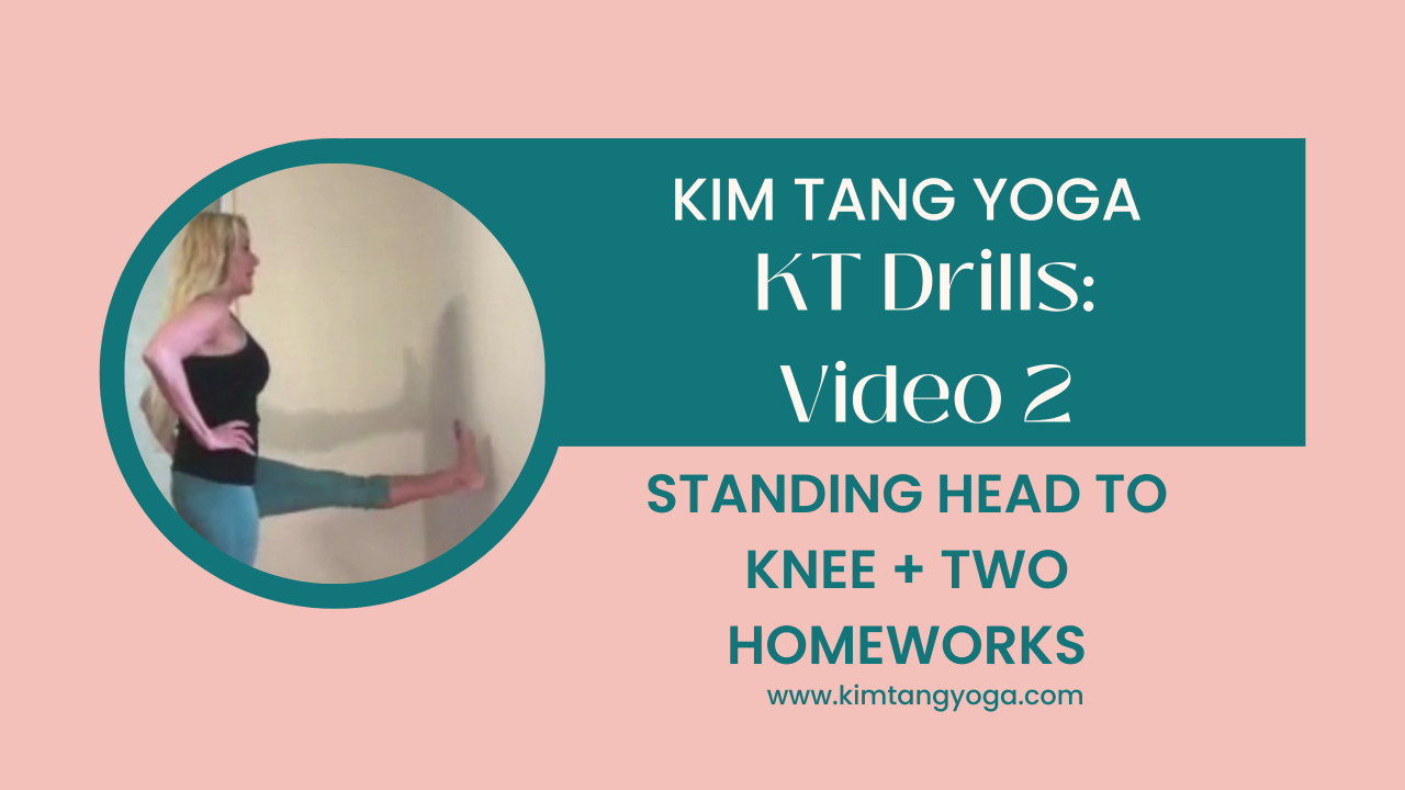 KT Drills 2: Standing Head to Knee + TWO Homework Videos