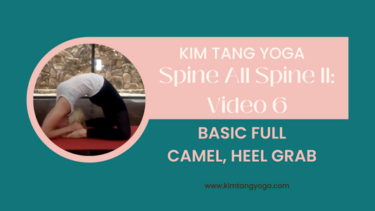 Spine All Spine II: Video 6: Basic Full Camel, Heel Grab