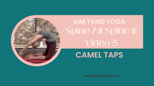 Spine All Spine II: Video 5: Camel Taps