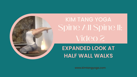Spine All Spine II: Video 2: Expanded Look at Half Wall Walks