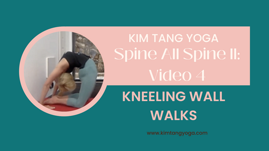 Spine All Spine II: Video 4: Kneeling Wall Walks