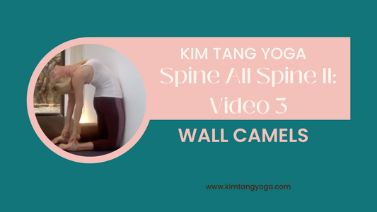 Spine All Spine II: Video 3: Wall Camel