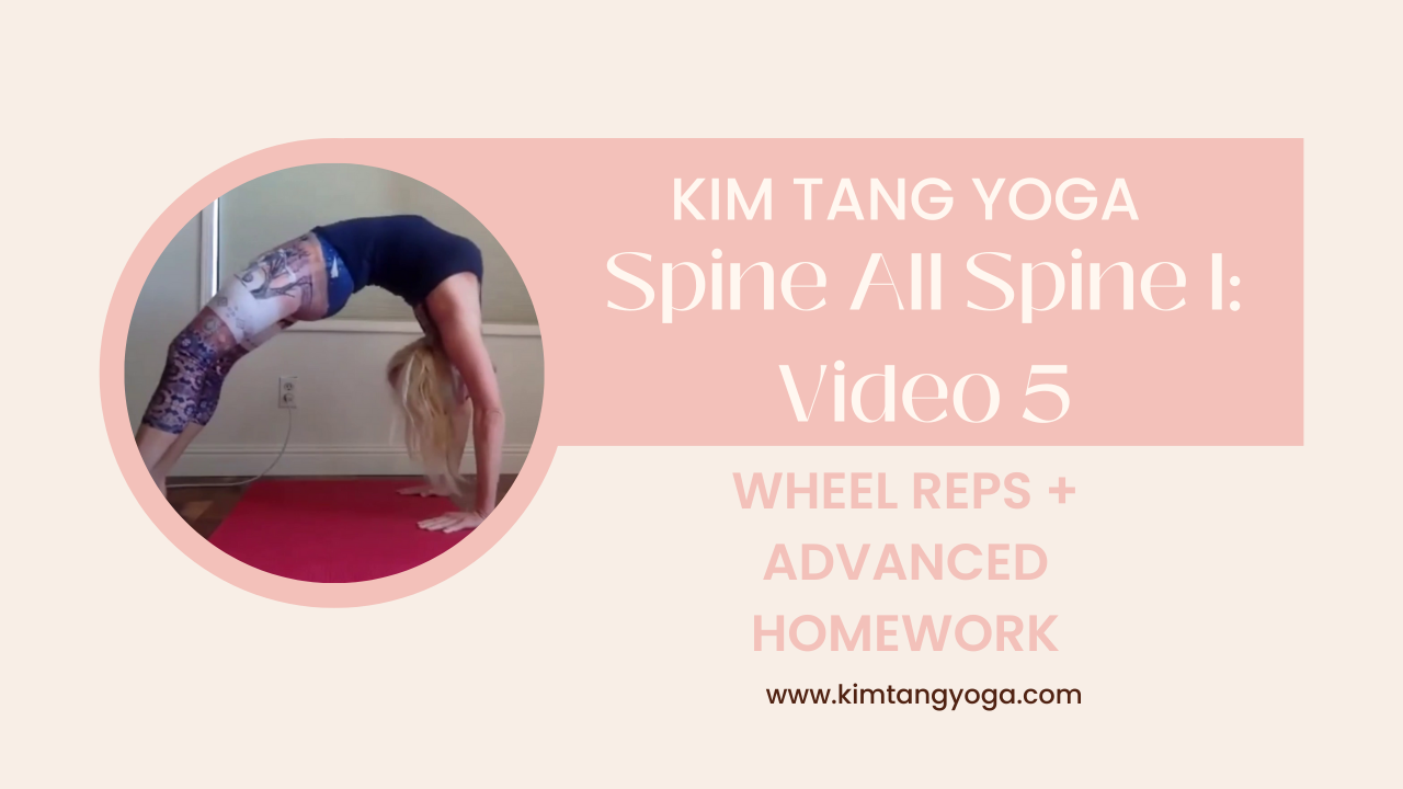 Spine All Spine I: Video 5: Wheel Reps + ADVANCED Homework Video