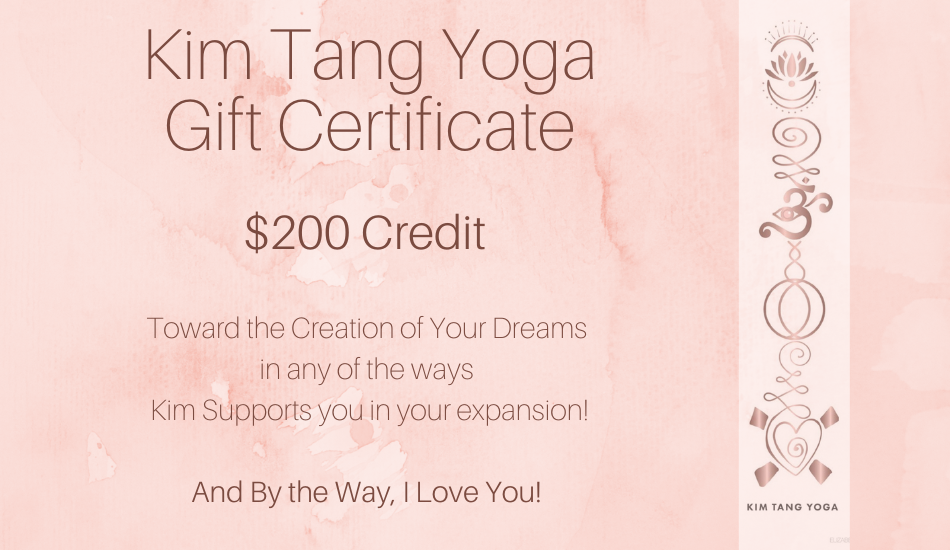 alo yoga gift card